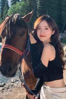 秘窗